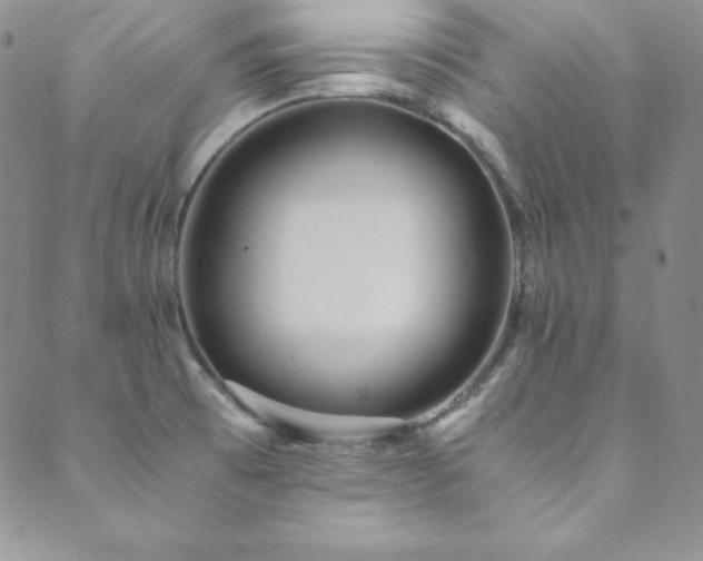 X0000089891473200706281402