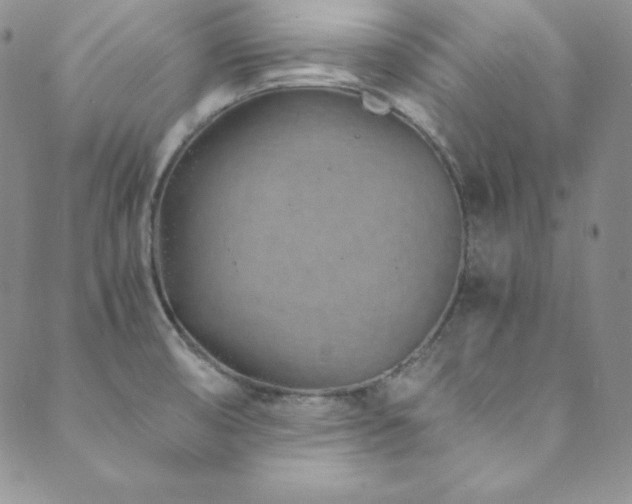 X0000089891474200706281402