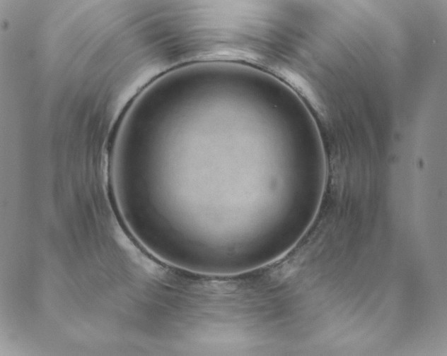 X0000089891476200706281402