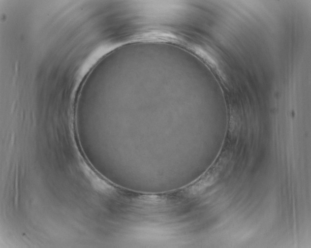 X0000089891478200706281402