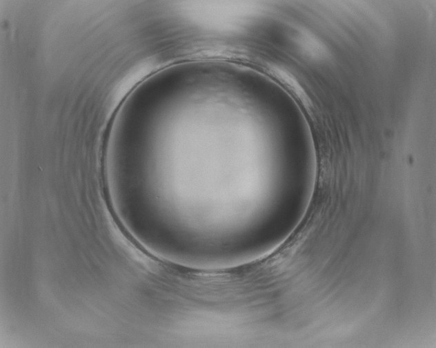X0000089891483200706281402
