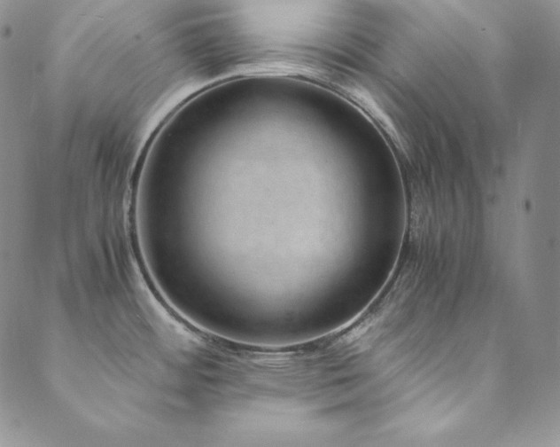 X0000089891484200706281402