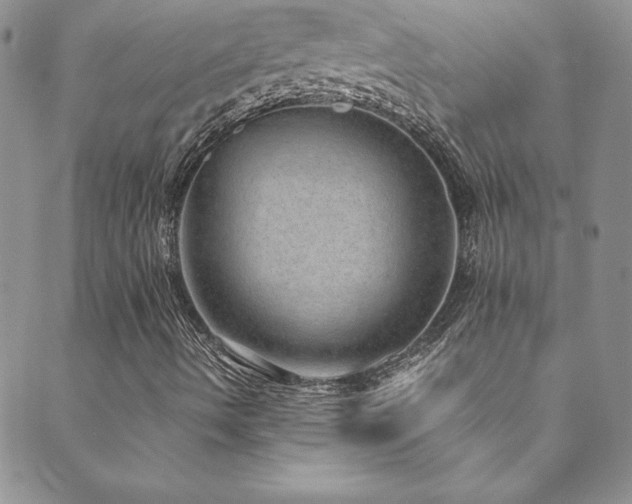 X0000089891490200706281401