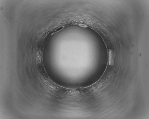 X0000089891491200706281401