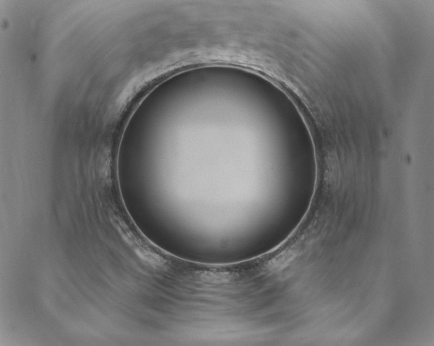 X0000089891499200706281401