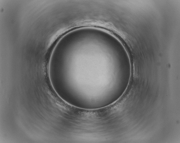 X0000089891501200706281401