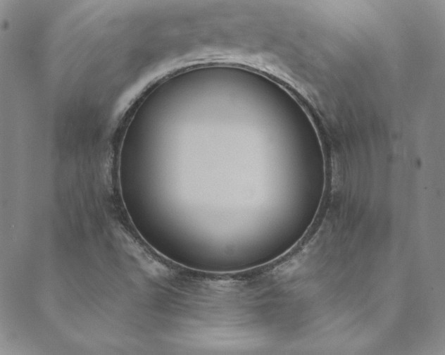 X0000089891502200706281401