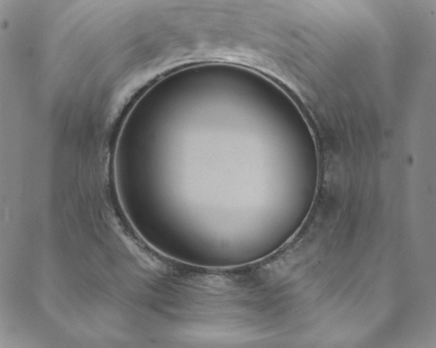 X0000089891507200706281401