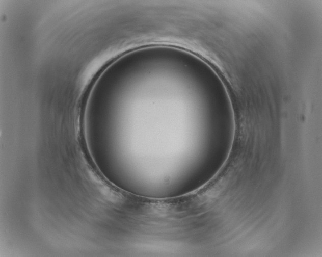 X0000089891511200706281401