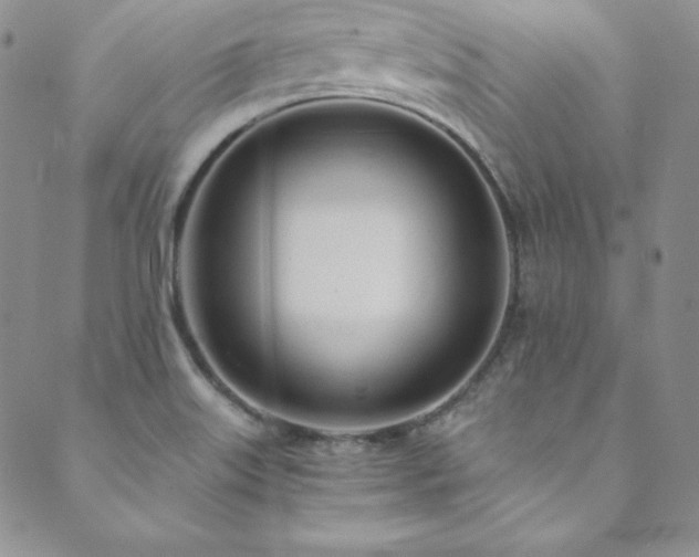 X0000089891515200706281402