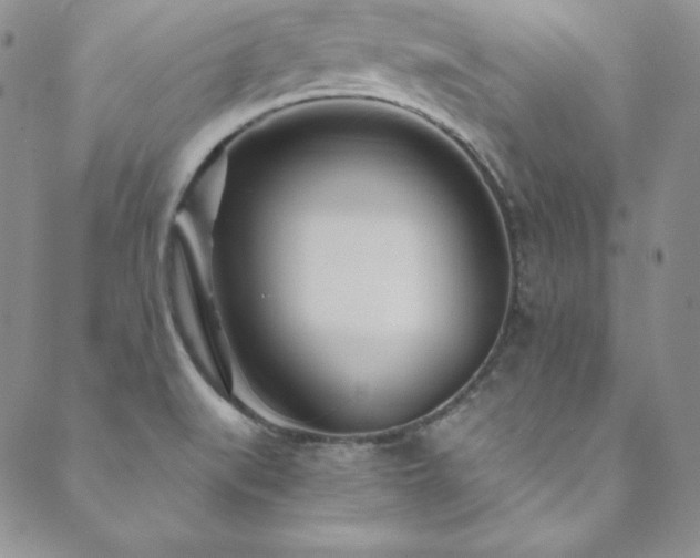X0000089891519200706281402