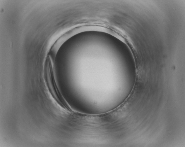X0000089891520200706281402