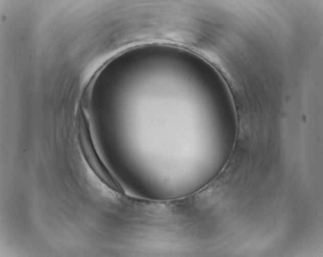 X0000089891524200706281402