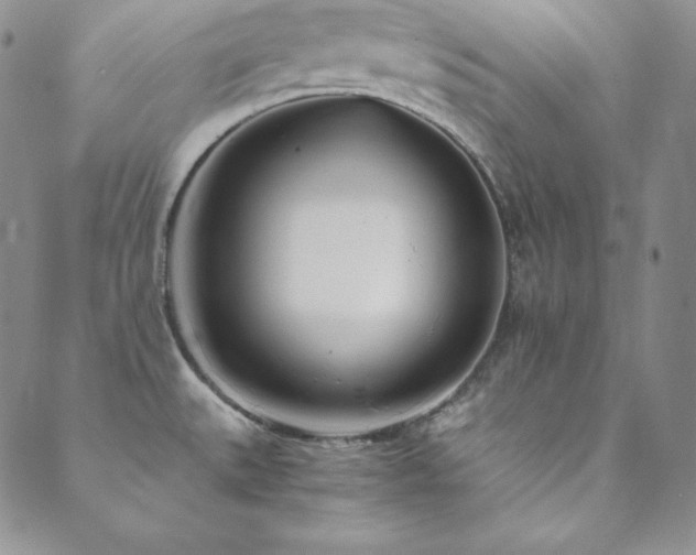 X0000089891527200706281402