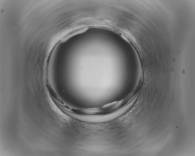 X0000089891528200706281402