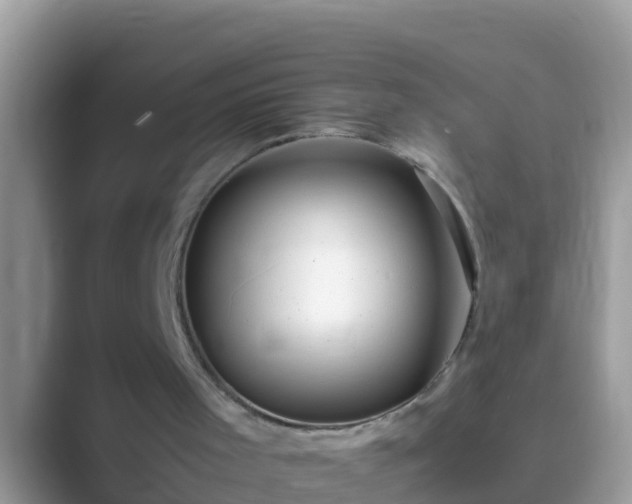 X0000089890001200707051237