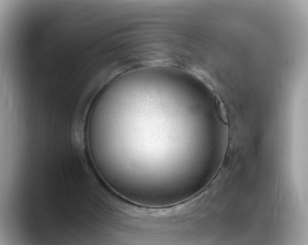 X0000089890002200707051237