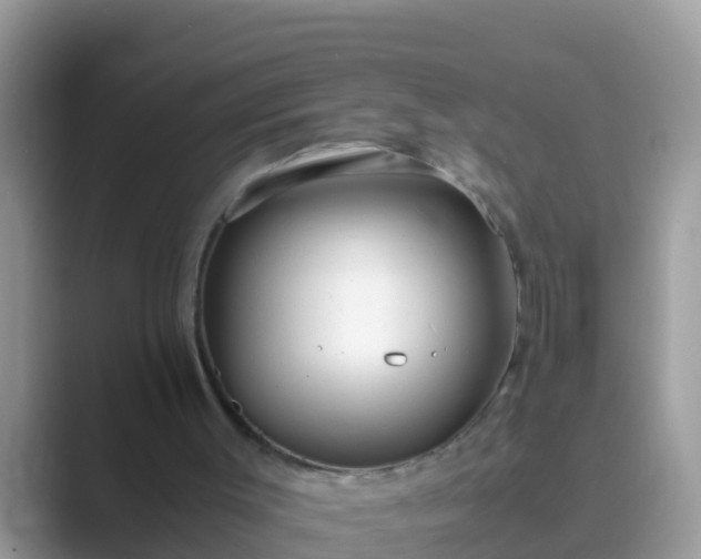 X0000089890003200707051237