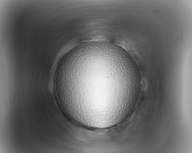 X0000089890004200707051237