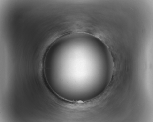 X0000089890005200707051237