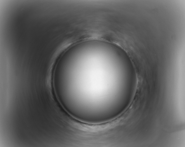 X0000089890006200707051237