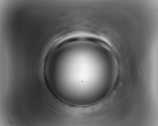 X0000089890007200707051237