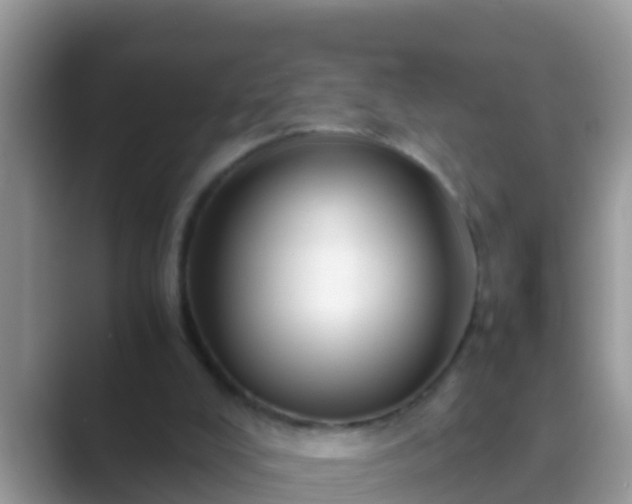 X0000089890008200707051237