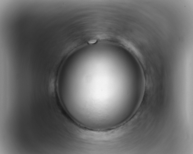 X0000089890010200707051237