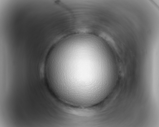 X0000089890012200707051237