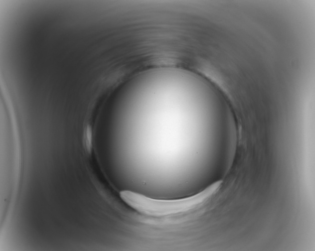 X0000089890013200707051237