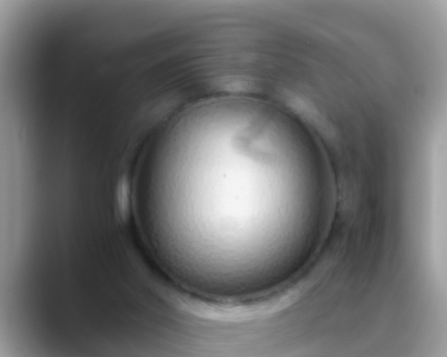 X0000089890014200707051237