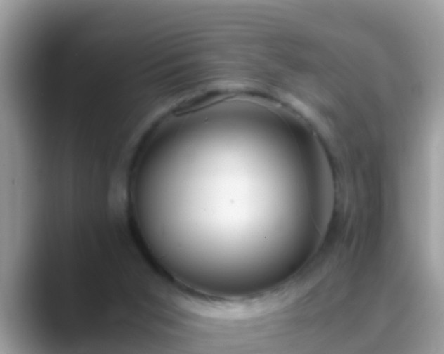 X0000089890015200707051237