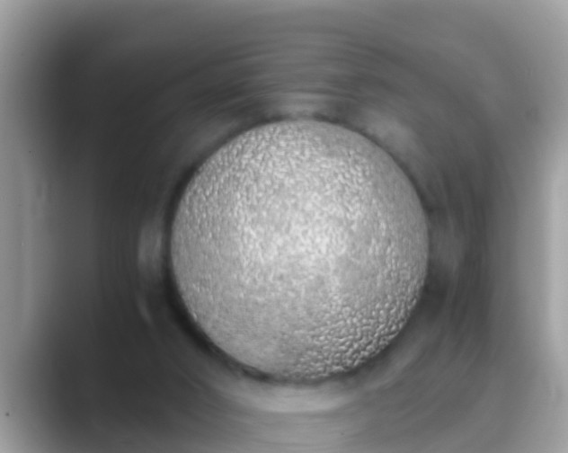 X0000089890016200707051237