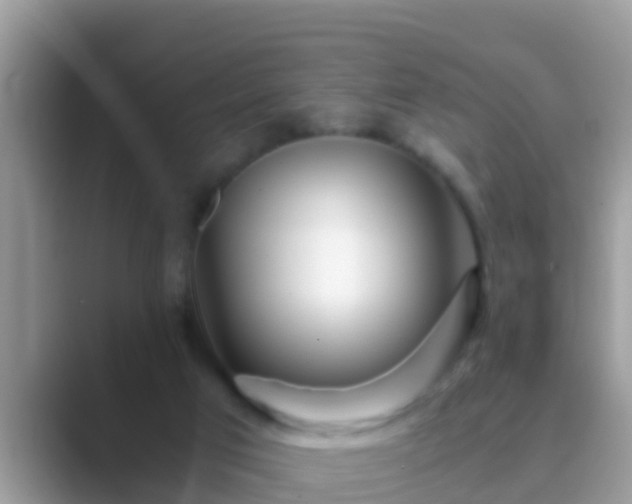 X0000089890017200707051237