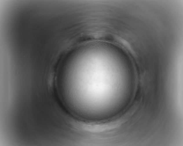 X0000089890018200707051237