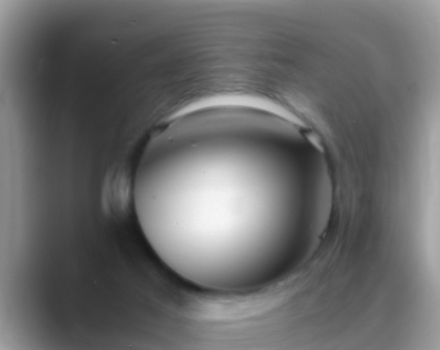 X0000089890021200707051236