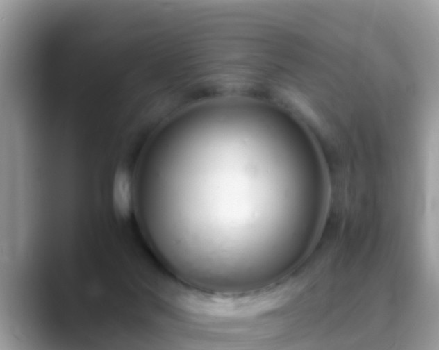 X0000089890022200707051236