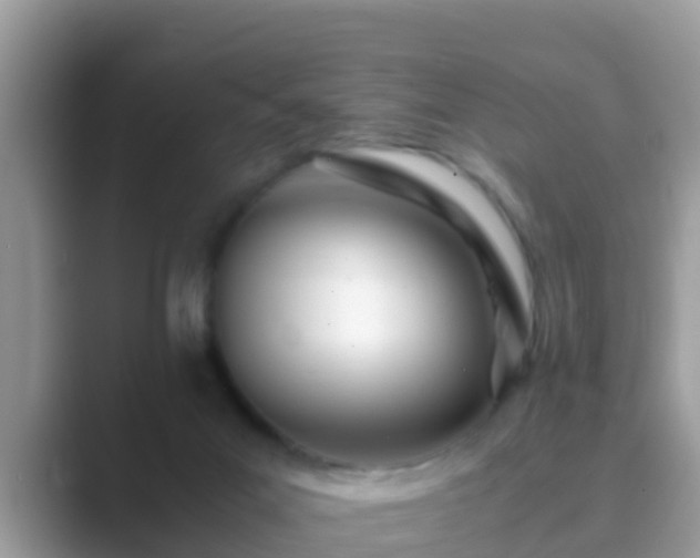 X0000089890023200707051236