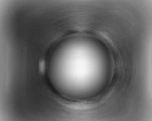 X0000089890024200707051236