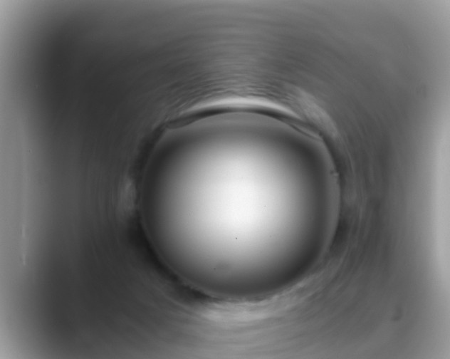 X0000089890025200707051236