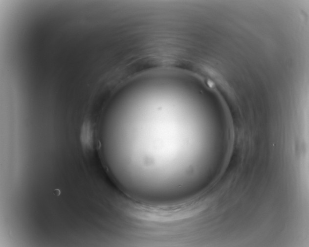 X0000089890026200707051236