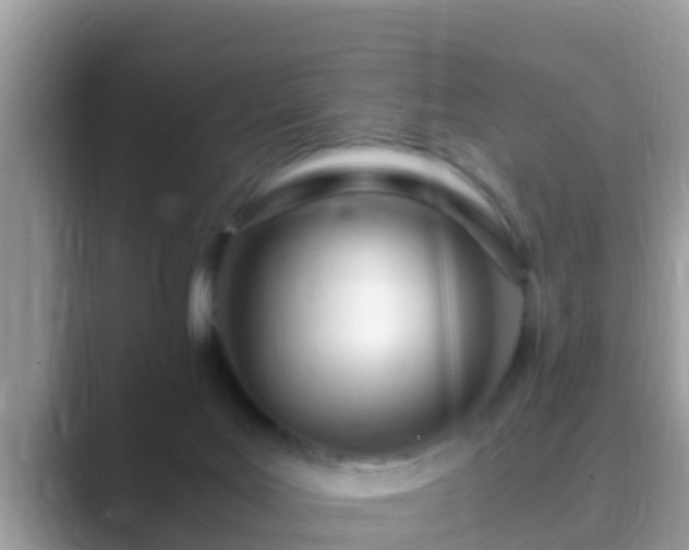 X0000089890027200707051236