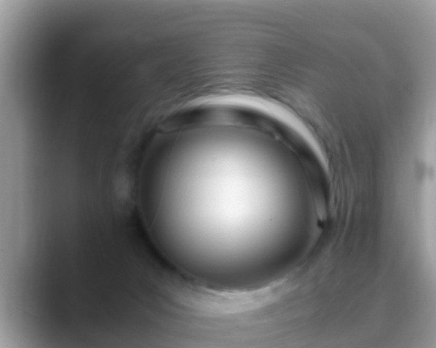 X0000089890031200707051236