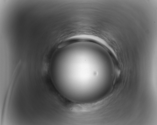 X0000089890033200707051236