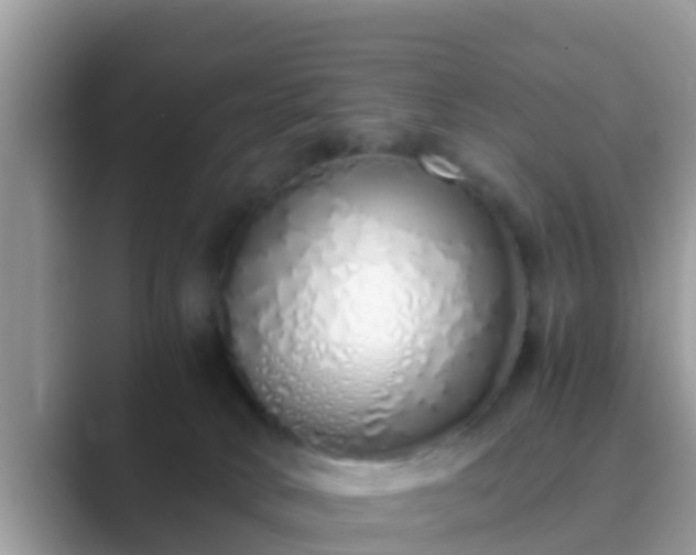 X0000089890034200707051236