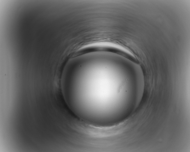 X0000089890035200707051236