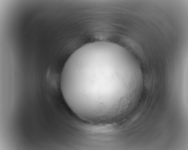 X0000089890036200707051236