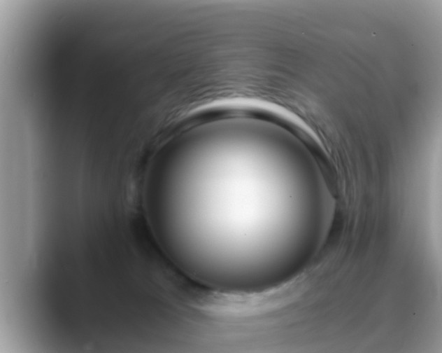 X0000089890037200707051236