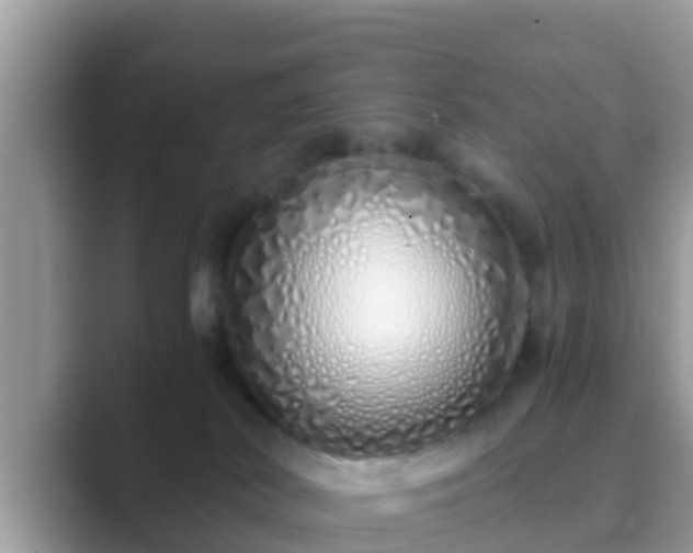 X0000089890038200707051236