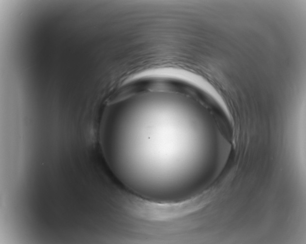 X0000089890039200707051236